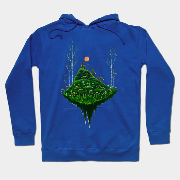 Empire of the Sun Hoodie by EYCIIR